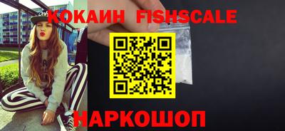 спайс Кингисепп