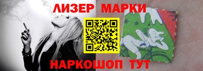спайс Кингисепп