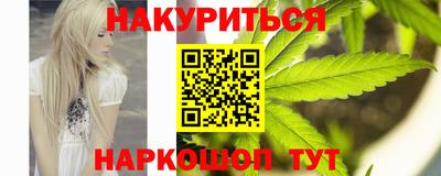 спайс Кингисепп
