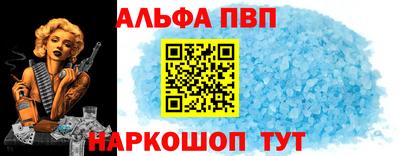 спайс Кингисепп