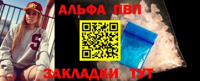 спайс Кингисепп