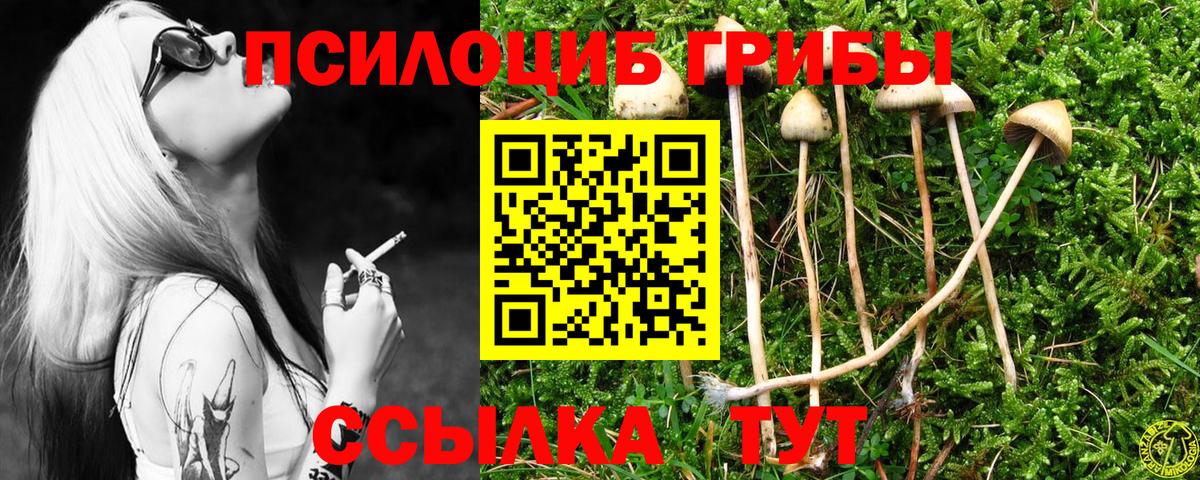 Галлюциногенные грибы Magic Shrooms Коряжма