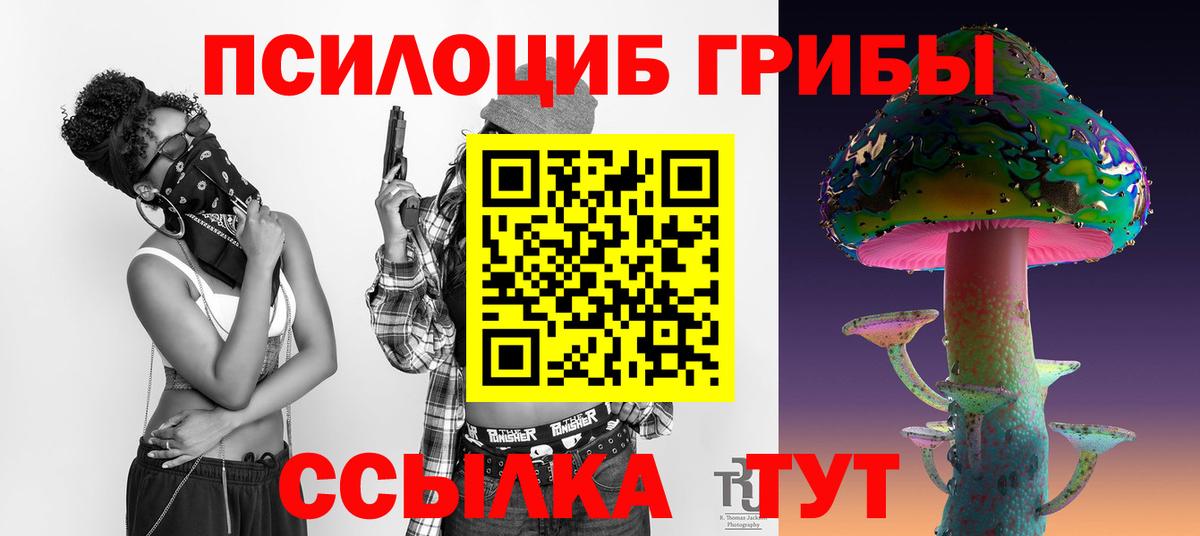 Коряжма  Галлюциногенные грибы MAGIC MUSHROOMS  Вход с VPN 