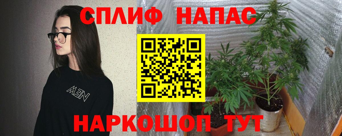 Бошки марихуана AK-47  Вход с VPN  Коряжма  МАРИХУАНА OG Kush  Канабис MAZAR 