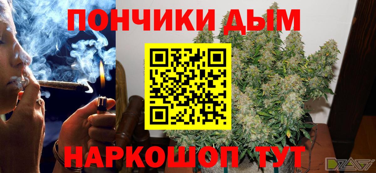 Каннабис Amnesia Коряжма